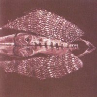 Cerberus Shoal - Homb (1999)