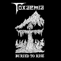 Toxaemia - Buried to Rise: 1990-1991 [Compilation] (2010)