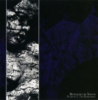 Benighted In Sodom - Plateau Σ: The Harrowing (2010)