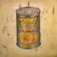 Toad The Wet Sprocket - In Light Syrup (1995)