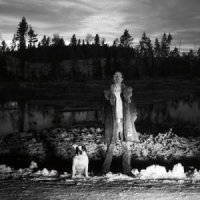 Tyred Eyes - The Piercing Stare, The Thousand Lies (2012)  Lossless