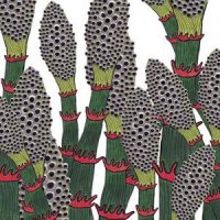 Part Chimp - IV (2017)
