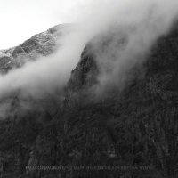 Falls Of Rauros - The Light That Dwells in Rotten Wood (2011)
