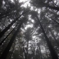 Crown Of Twilight - Radiance (2016)