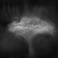 Oxx - Bury The Ones We Love And Burn The Rest (2015)