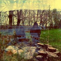 Pachyderm - Two Weeks Of Spring (2015)