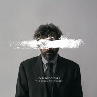 Carving Colours - The Desolate Process (2017)