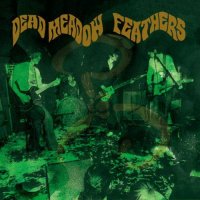 Dead Meadow - Feathers (2005)