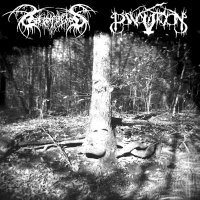 Panopticon / Lake Of Blood - Panopticon / Lake Of Blood (Split) (2009)