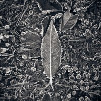 Угасание - Жизнь Есть Угасание (Compilation) (2012)