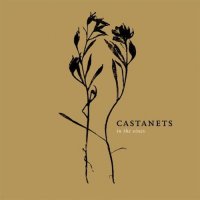 Castanets - In The Vines (2007)
