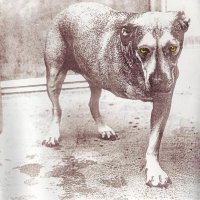 Alice In Chains - Alice In Chains (1995)