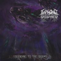 Euphoric Defilement - Ascending To The Worms (2013)