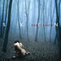 Panic Room - Skin (2012)  Lossless