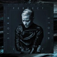 Vanbot - Perfect Storm (2015)