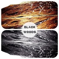 Black Woods - The Strange Crow (2014)