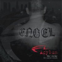 Acylum - The Enemy [2CD Limited Edition] (2009)  Lossless