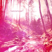 An Autumn For Crippled Children - Hearts of Light | Blossoms (2013)