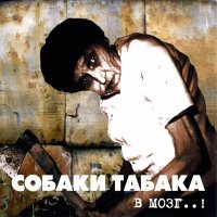 Собаки Табака - В мозг! (1997)