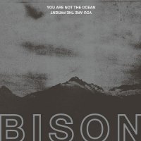 Bison - You Are Not The Ocean You Are The Patient (2017)