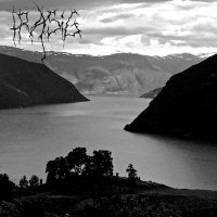 Trasig - Jammer Og Nød (2016)