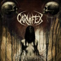 Carnifex - Until I Feel Nothing (2011)  Lossless