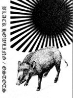 Black Howling & Ostots - Split (2011)