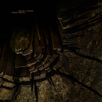 Black Shape Of Nexus & Kodiak - Split (2010)