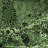 Gastric Edema - Fermentacion Masiva Del Aparato (2015)