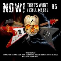 Various Artists - NOW! That\'s What I Call Metal 85 (2016)