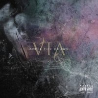 VIA - After You Drown (2017)