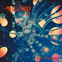 Buzzard - Sonic Renaissance (2016)
