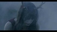 Клип This Misery Garden - Siamese Again (2013)