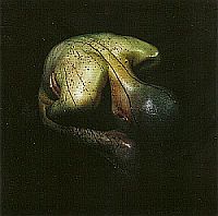 Compos Mentis - Gehennesis (2007)