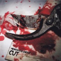 Menschliche Energie - Cut (2017)  Lossless