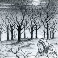 Lupus Nocturnus - Suicidal Thoughts Pt 1 (2008)