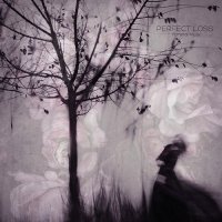 Perfect Loss - Funeral Music (2017)