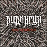Burshtyn - Прах Відчайдухів (2016)