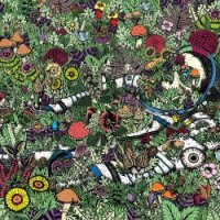 Oozing Wound - Whatever Forever (2016)