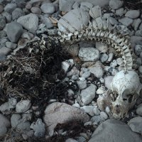 Ordeal & Plight - Ordeal & Plight (2017)