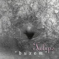 Tulips - Buxom (1992)