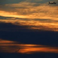 Noosefiller - Noosefiler (2016)