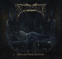 Zombiefication - Procession Through Infestation (2014)