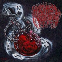 Necroptic Engorgement - Transmogrified (2012)