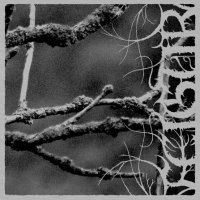 Feigur - II, Desolation (2010)