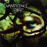 Evanescence - Anywhere but Home (Live) (2004)  Lossless