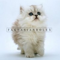 Fake Asian Rolex - 74K34514NR013X (2012)