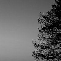 Køldun - This Winter Grayness (2017)