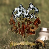 Fubar-Jam - Salt On Snails (2013)