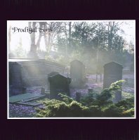 Prodigal Sons - Emerge From the Void (1972)